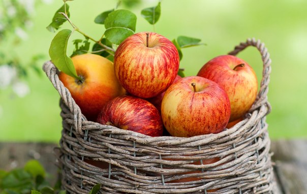 Интересные факты про яблоки