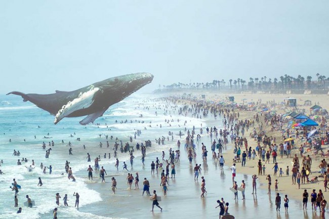 GOOGLE ВЛОЖИЛА 542 МЛН ДОЛЛАРОВ В «КИНОРЕАЛЬНОСТЬ» MAGIC LEAP